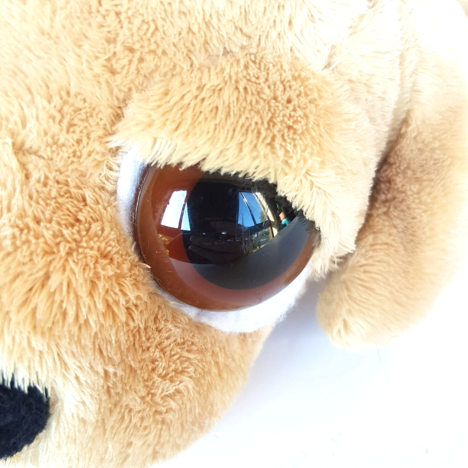 Russ DOG BARNEY Plush Lil' Peepers Big Eyes 27cm Stuffed Animal Floppy Soft Toy2