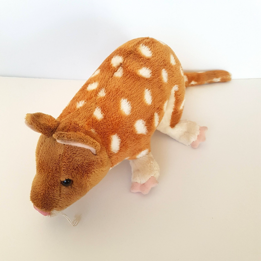 Rare Corroboree EASTERN QUOLL Plush 45cm long Soft Toy Stuffed Animal Cute2