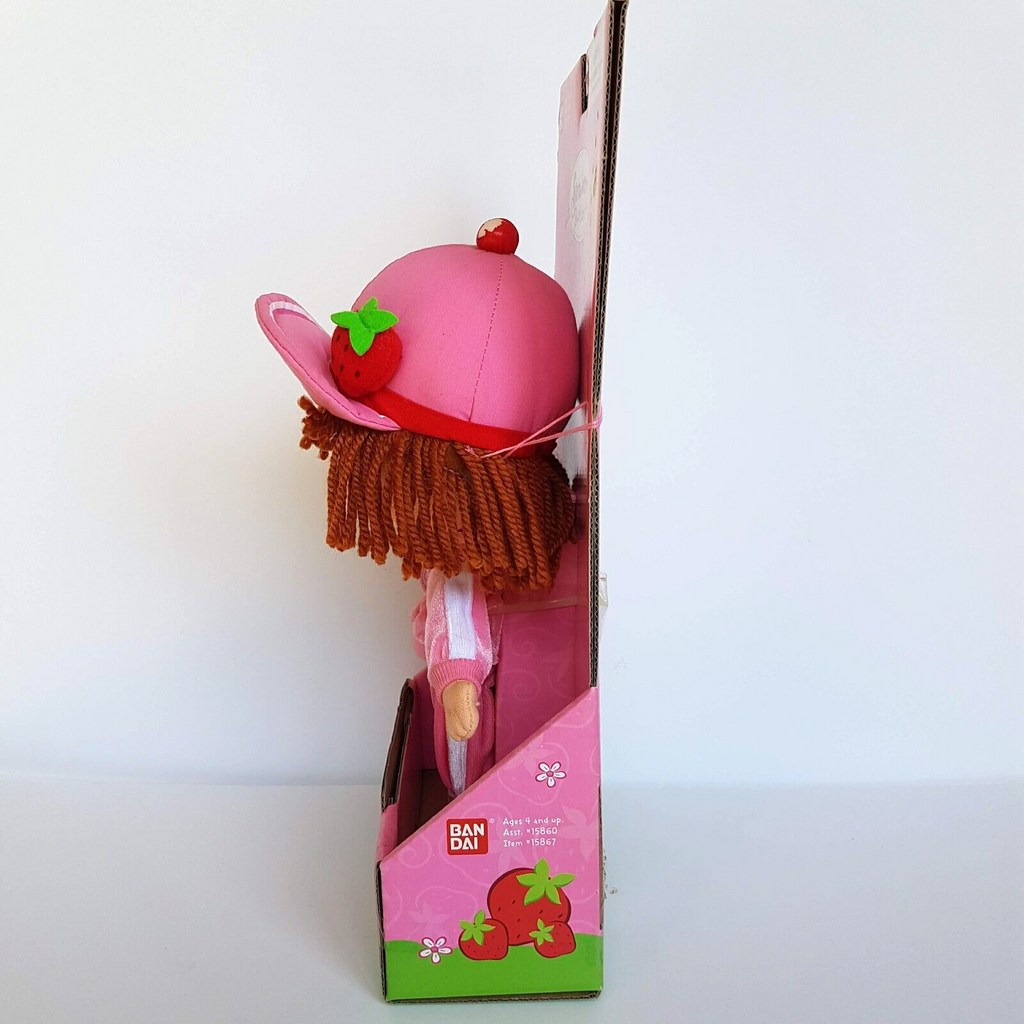STRAWBERRY SHORTCAKE Berry Soft Friends Joggin' Days Pink Plush Rag Doll BOXED8