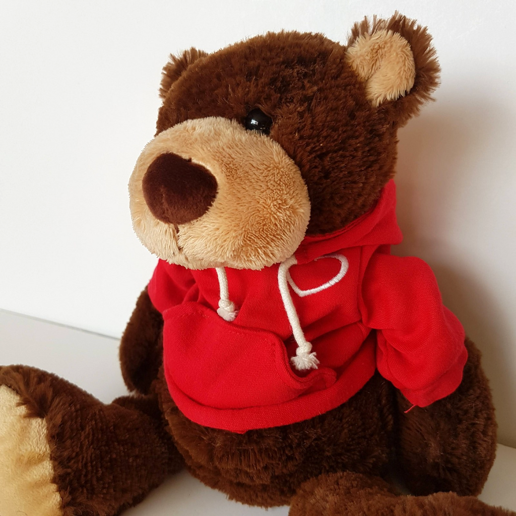 Tomfoolery HOPE BEAR Teddy Bear Plush 30cm Floppy Stuffed Animal Soft Toy Hoodie2