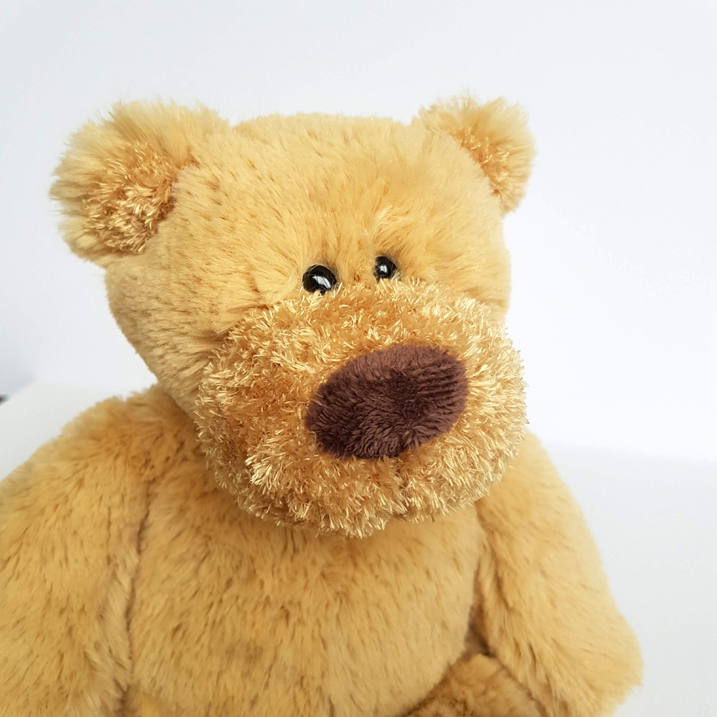 Tomfoolery LANGHAM HOTEL TEDDY BEAR Plush 31cm Stuffed Animal Soft Toy Floppy2