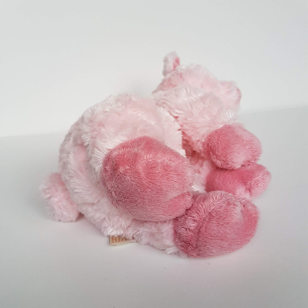 Tomfoolery MINKPLUSH PIG Little Miss P Stuffed Animal 17cm Pink Soft Toy Floppy7