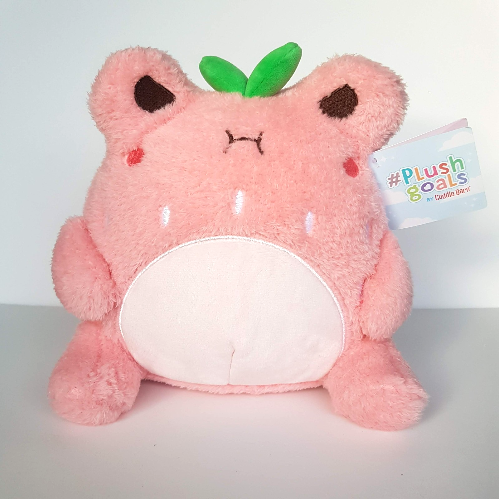Cuddle Barn STRAWBERRY WAWA Froggie Frog Plush Goals Soft Toy Stuffed Animal0