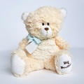 Nat & Jules BIG BROTHER Baby Teddy Bear 19cm 2012 Soft Toy Stuffed Animal Yellow0