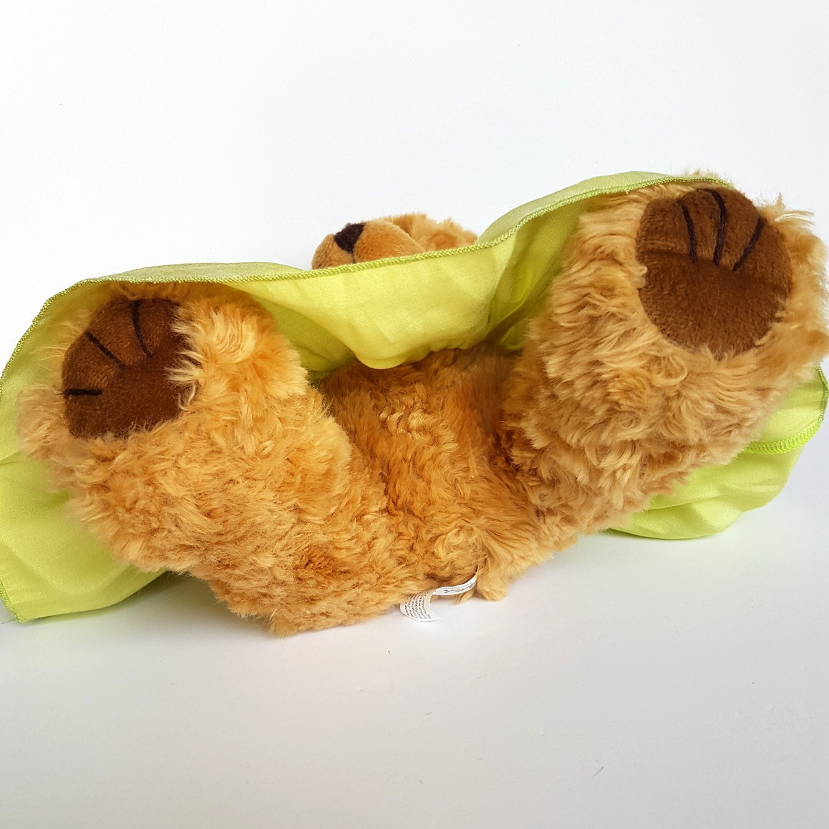 Rare Pumpkin Patch PATCH TEDDY Bear + Dress 34cm Plush Soft Toy Stuffed Animal9