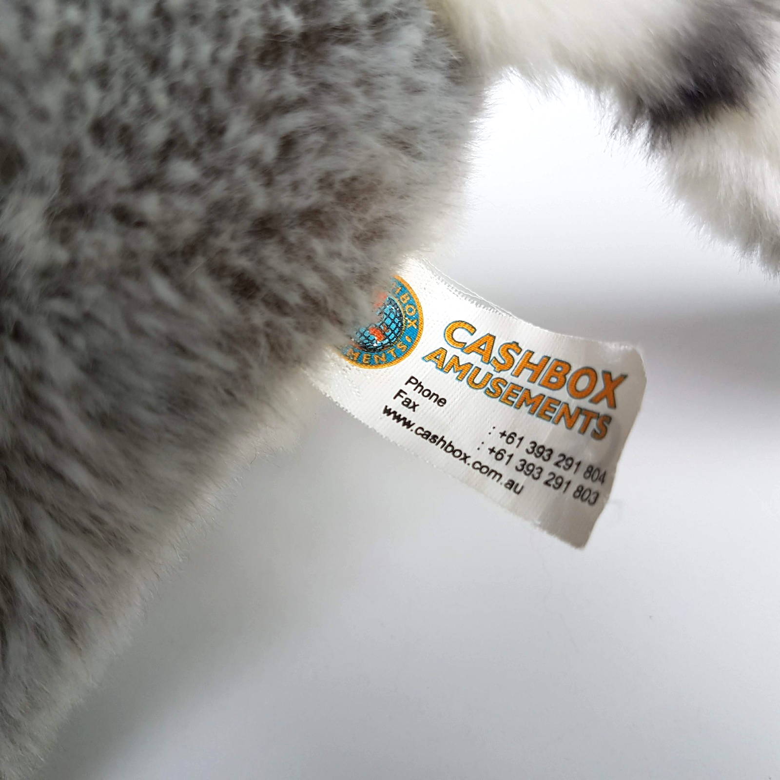 Cashbox Amusements RACCOON Plush 24cm tall Soft Toy Wild Stuffed Animal Cuddly6