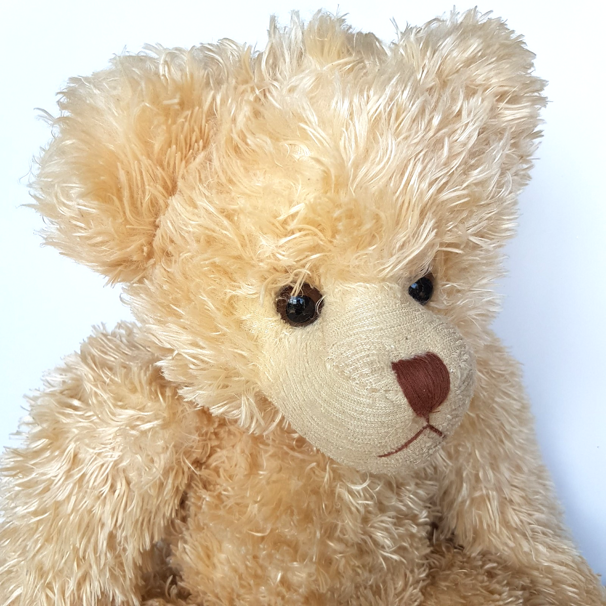 Large Settler Bears TEDDY BEAR 60cm Plush NO CLOTHES Soft Toy Stuffed Animal1