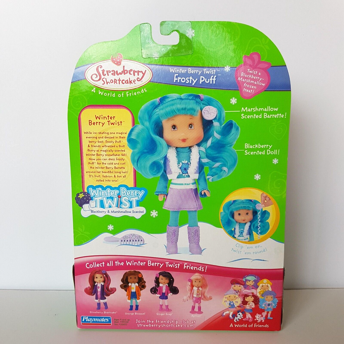 Strawberry Shortcake WINTER BERRY TWIST Doll Figure Blue 2007 Boxed Scented Toy4