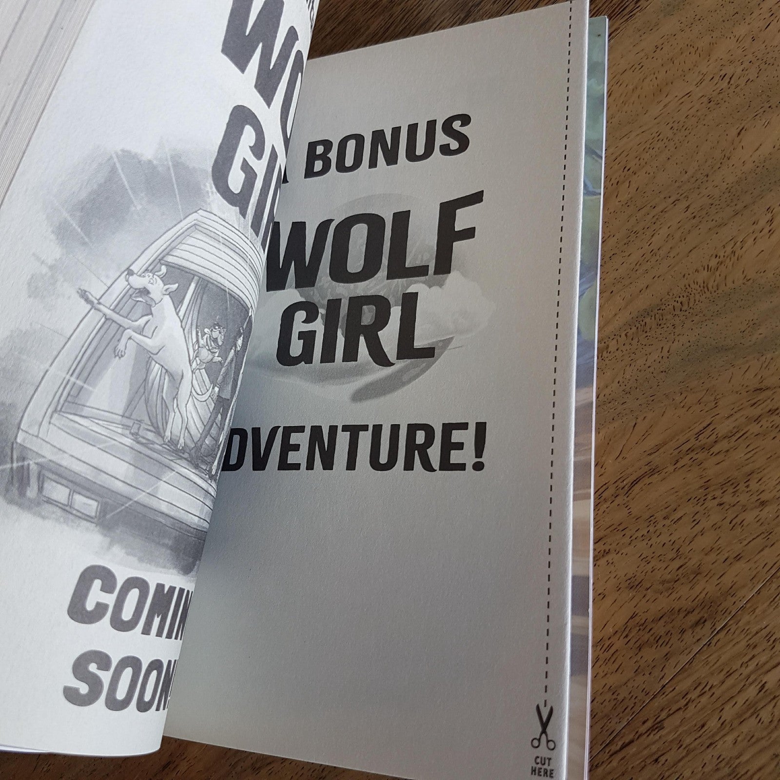 Anh Do WOLF GIRL 1 8 Fantasy Book Bundle Lot Kids Paperback Illustrated Novel22