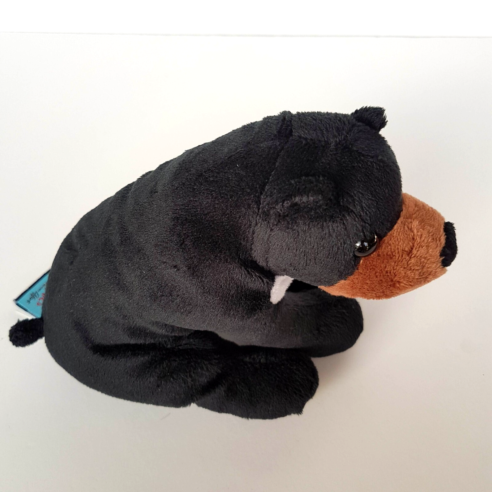 Goodies BLACK SUN BEAR Plush Endangered Soft Toy Beans Stuffed Animal Cuddly7