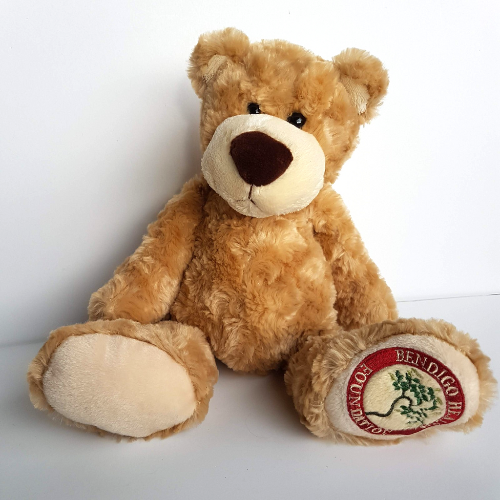 Tomfoolery BENDIGO HEALTH FOUNDATION Teddy Bear Plush Stuffed Animal Soft Toy3