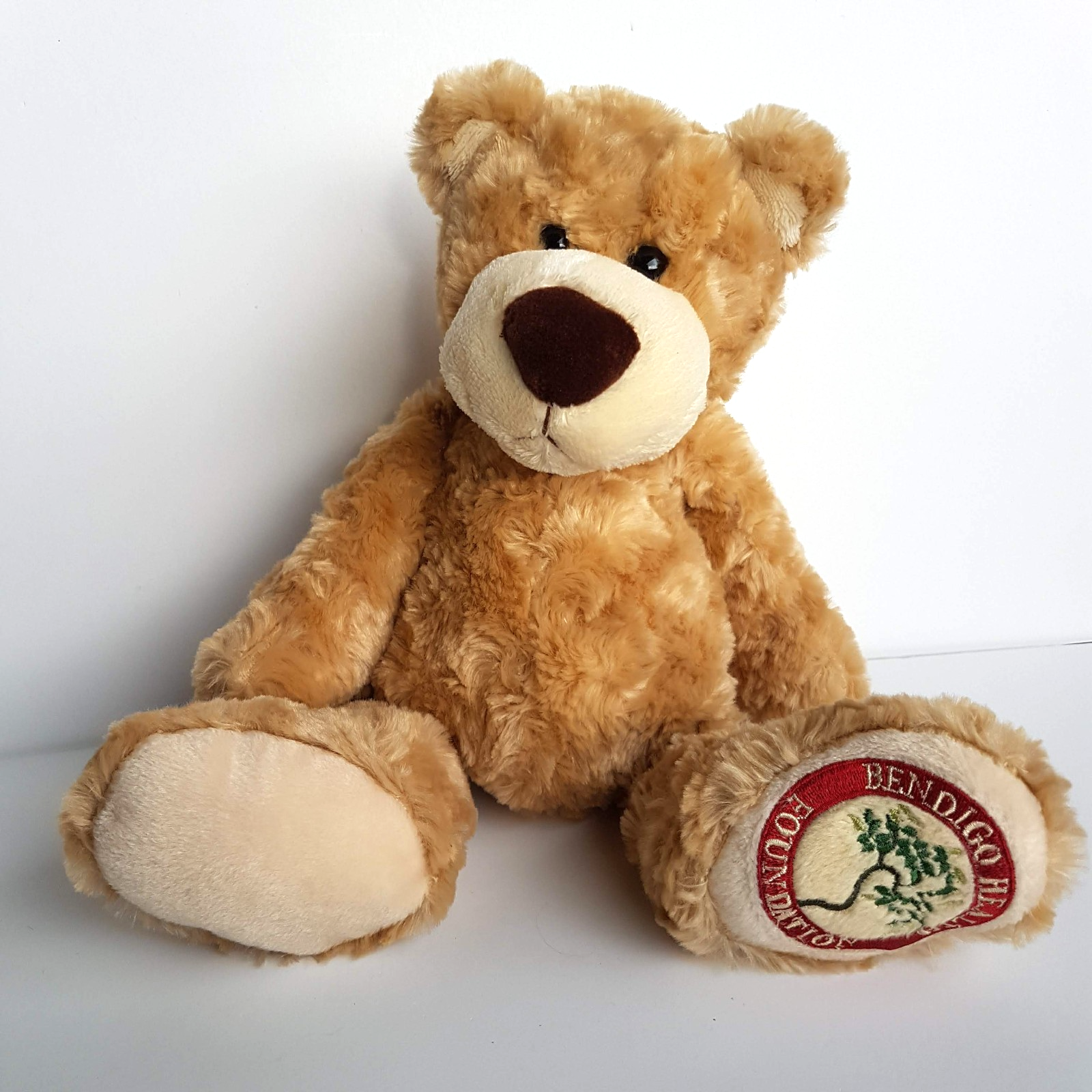 Tomfoolery BENDIGO HEALTH FOUNDATION Teddy Bear Plush Stuffed Animal Soft Toy3
