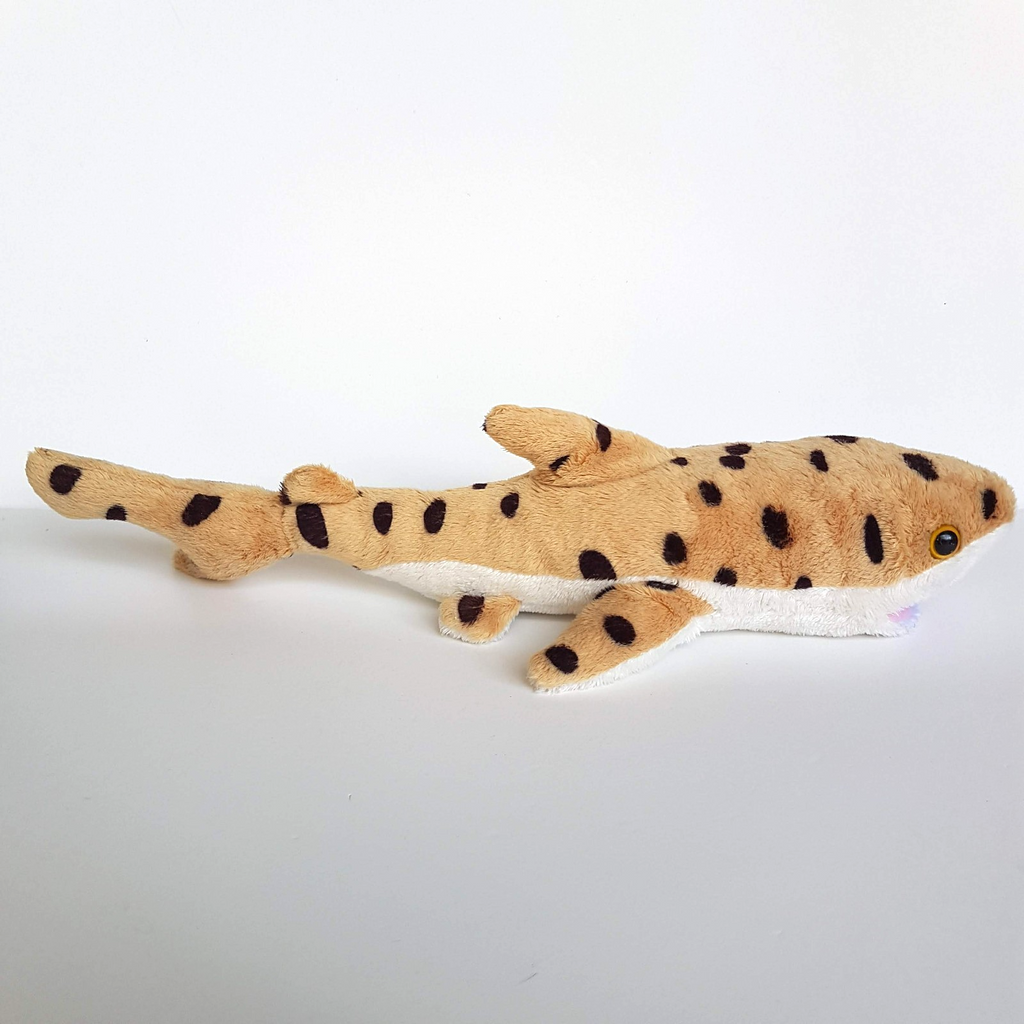 Korimco LEOPARD SHARK Plush 40cm Ocean Sea Fish Soft Toy Stuffed Animal Spotted6