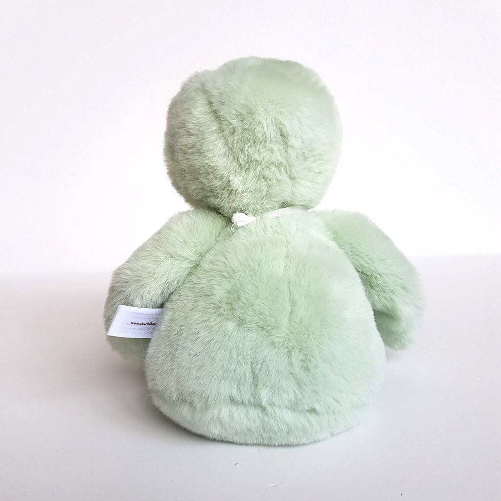 Charlie Bears FREDDY FROG 25cm Soft Plush Stuffed Animal TAGS M Peppermint Green2