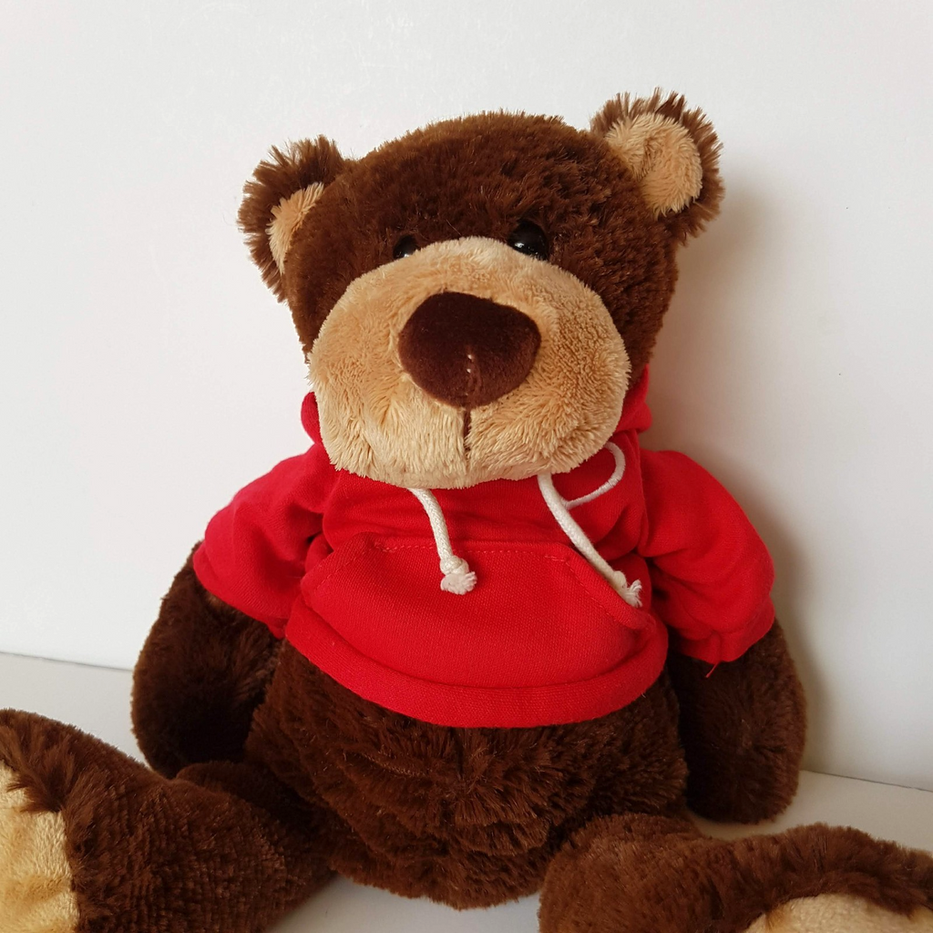 Tomfoolery HOPE BEAR Teddy Bear Plush 30cm Floppy Stuffed Animal Soft Toy Hoodie1