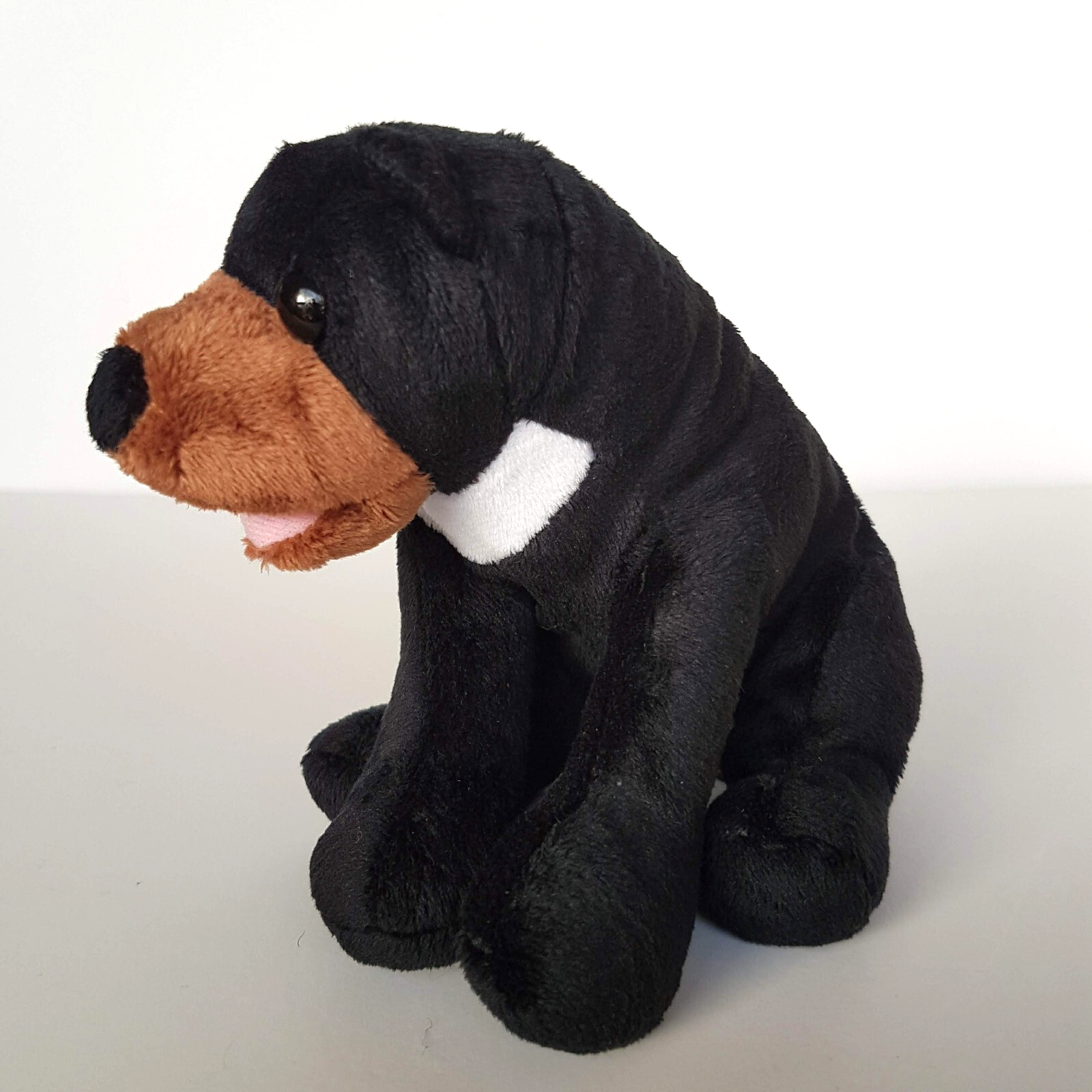 Goodies BLACK SUN BEAR Plush Endangered Soft Toy Beans Stuffed Animal Cuddly2