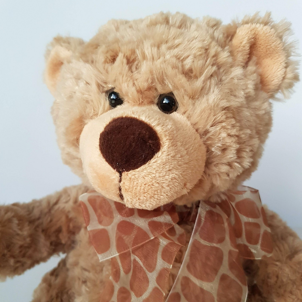 Soft Cuddles FREDDY TEDDY BEAR Beige 26cm Soft Toy Stuffed Animal Cuddly Cute1