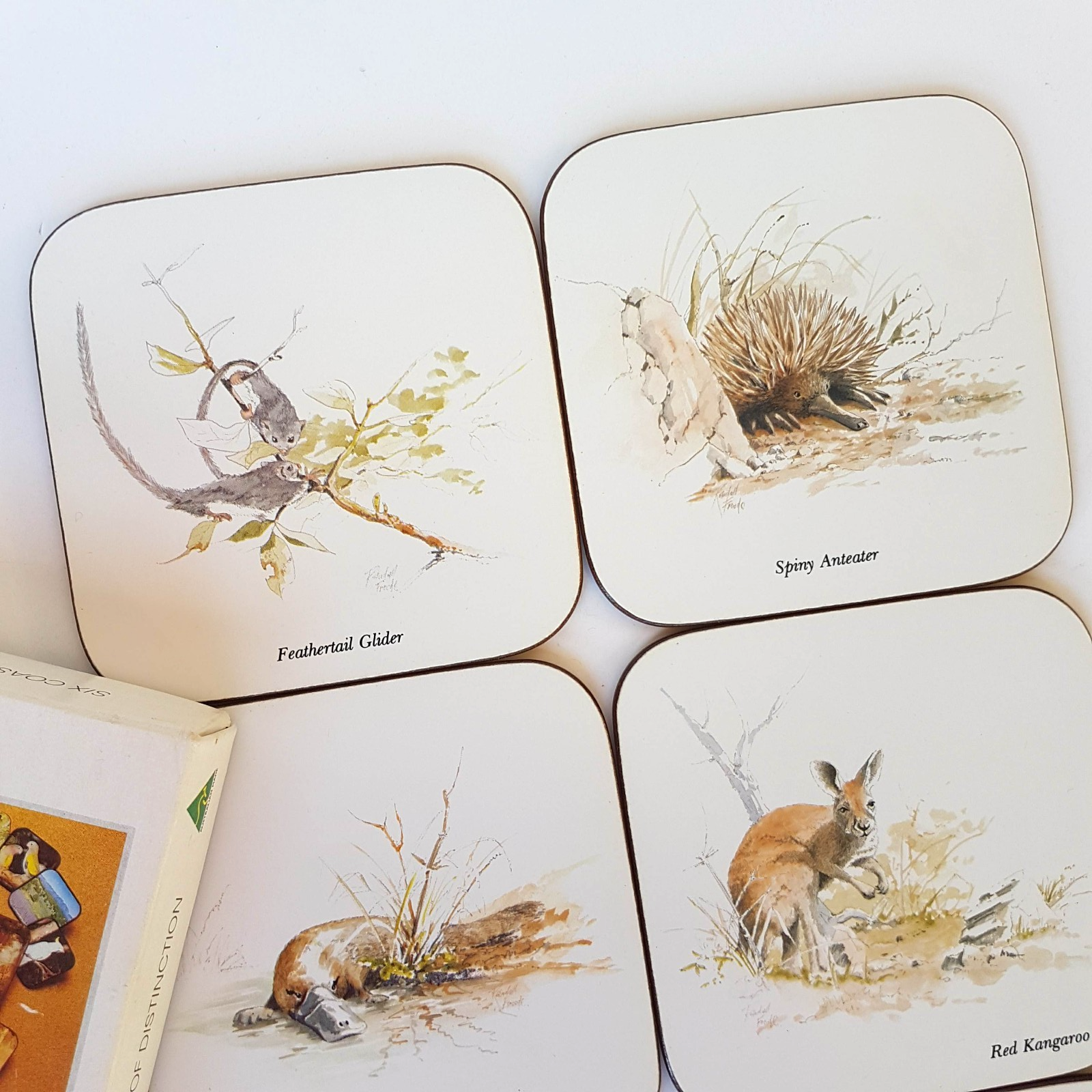 Australian Marsupials COASTER SET x 6 Watercolour Print Casa Collection Cork2