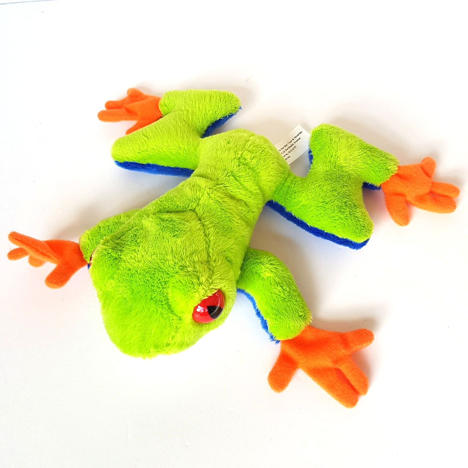 Neon RED EYED TREE FROG Plush 17cm Soft Toy Stuffed Animal Reptile Beanbag Toy2