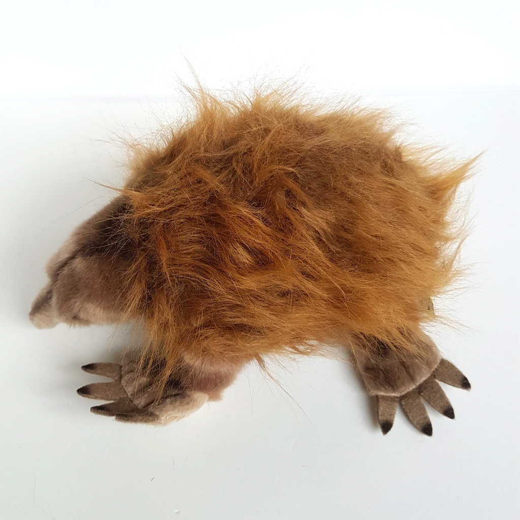 Bocchetta ECHIDNA ANT EATER Plush 25cm Stuffed Animal Soft Toy Australian Animal7