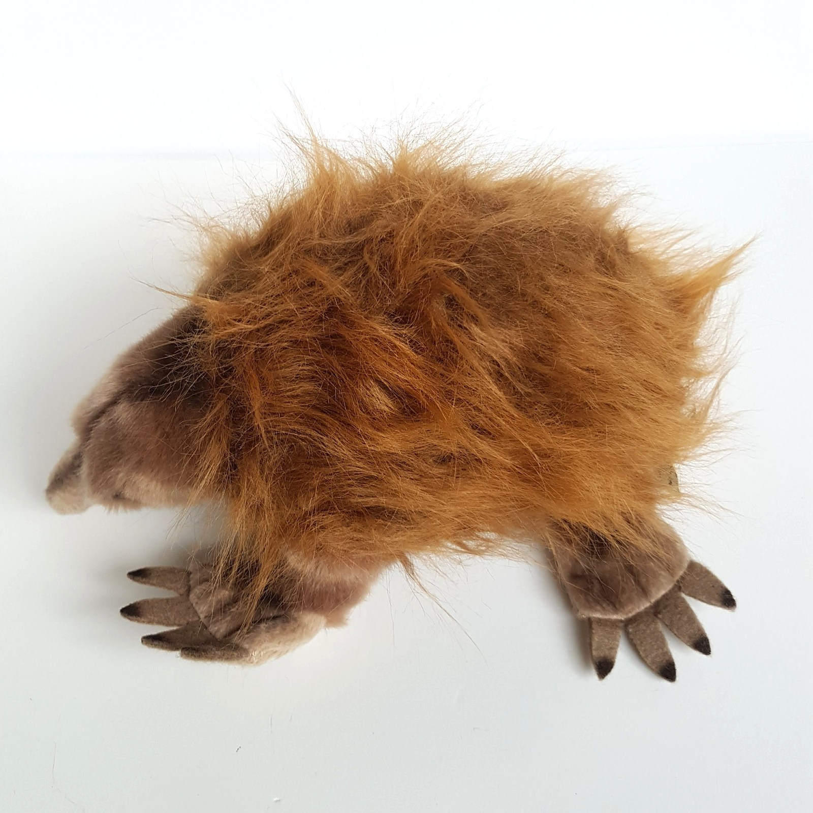 Bocchetta ECHIDNA ANT EATER Plush 25cm Stuffed Animal Soft Toy Australian Animal7