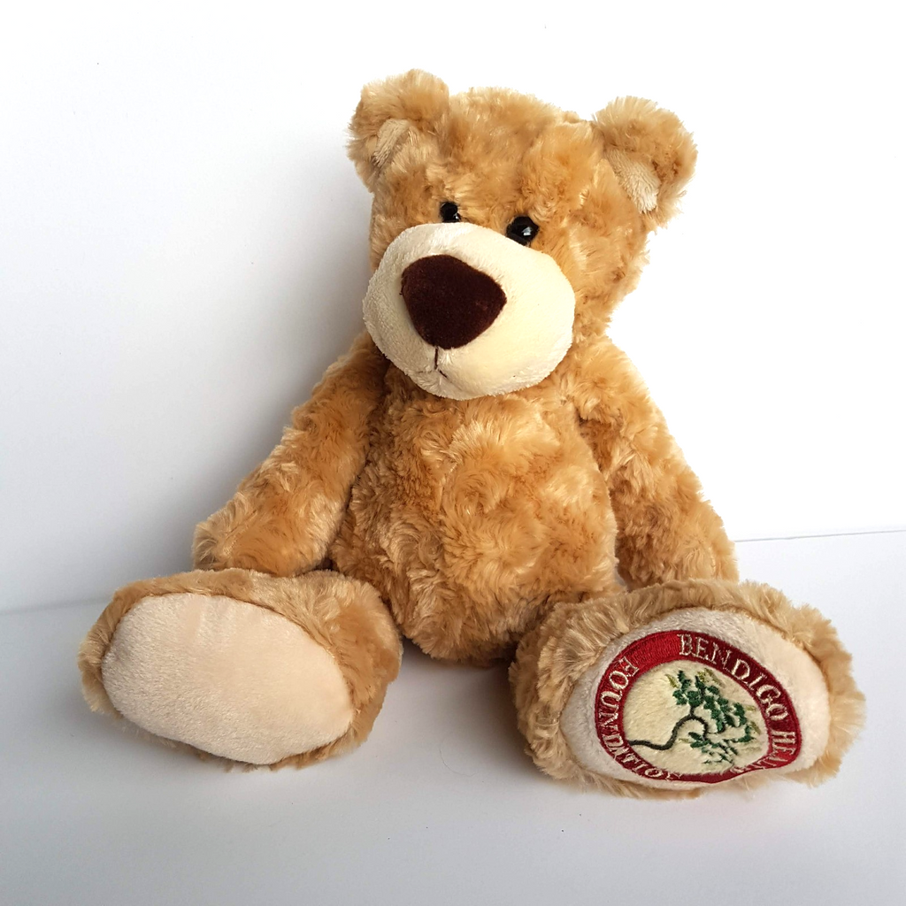 Tomfoolery BENDIGO HEALTH FOUNDATION Teddy Bear Plush Stuffed Animal Soft Toy5