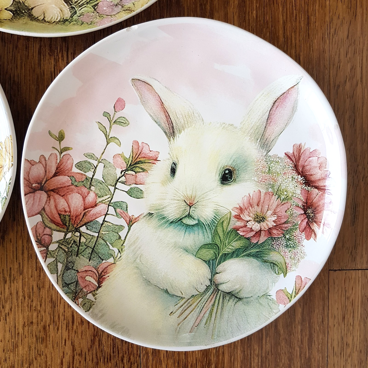 Morgan & Finch BUNNY RABBIT PLATE SET x 3 Dolomite Flowers 22cm Spring Pastel3