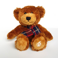 Tomfoolery DARE TO CARE HENRY Teddy Bear CentaCare 25cm Soft Toy Stuffed Animal0