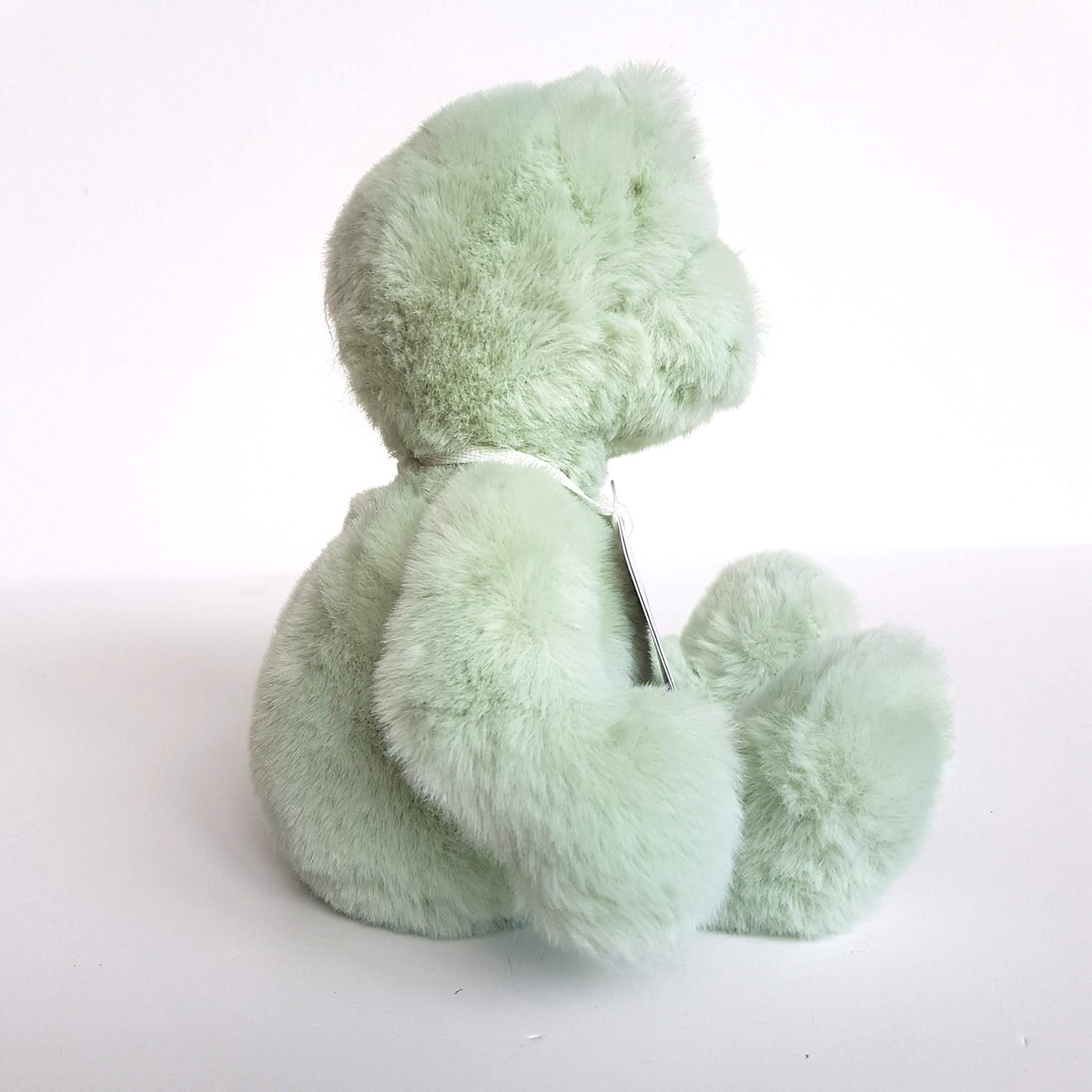 Charlie Bears FREDDY FROG 25cm Soft Plush Stuffed Animal TAGS M Peppermint Green1