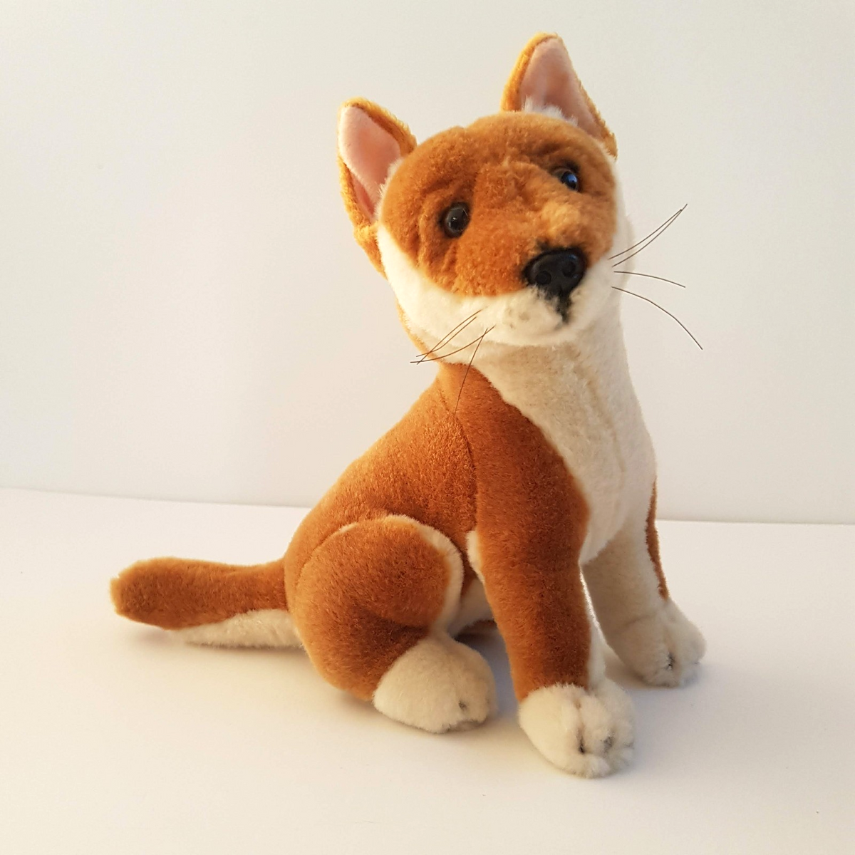 Bocchetta DINGO Wild Dog Plush 19cm Stuffed Animal Soft Toy Australian Animal0