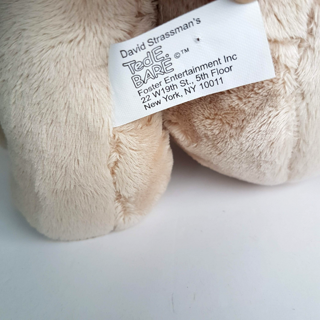 TED E BARE David Strassman Teddy Bear Plush 26cm Soft Toy Stuffed Animal FLAT7