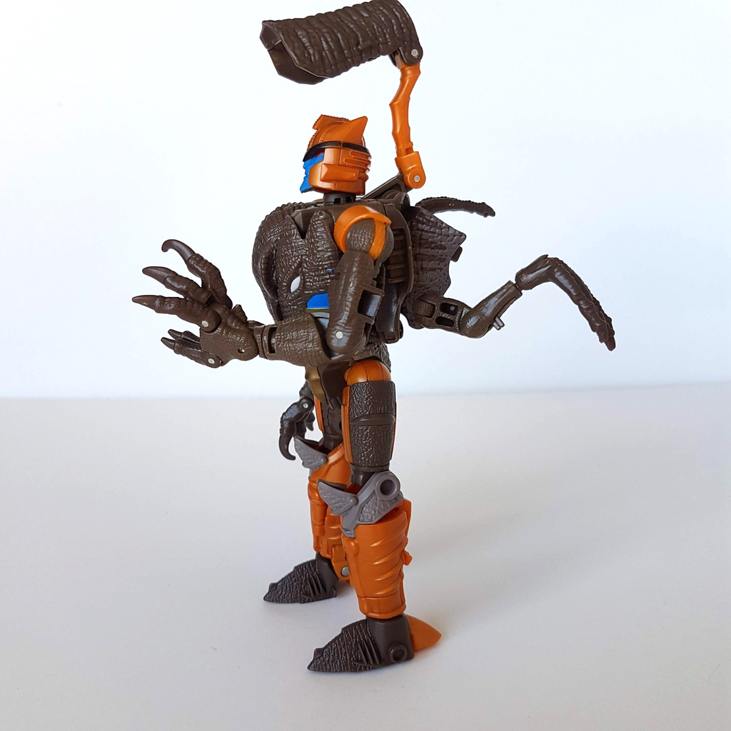 Transformers DINOBOT War For Cybertron Kingdom Dinosaur Figure Velociraptor Toy5