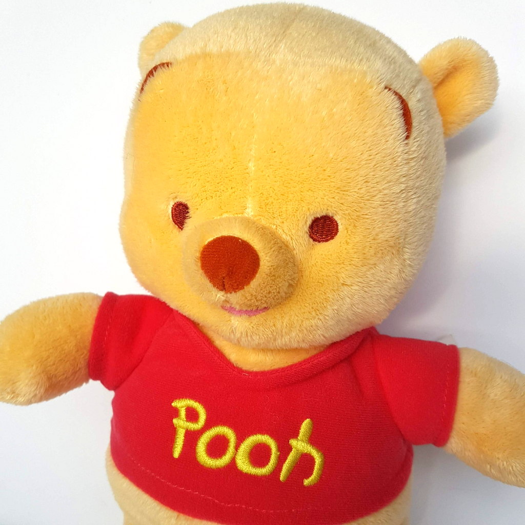 Fisher Price WINNIE THE POOH Lovey Plush Rattle 29cm Soft Toy Stuffed Animal1