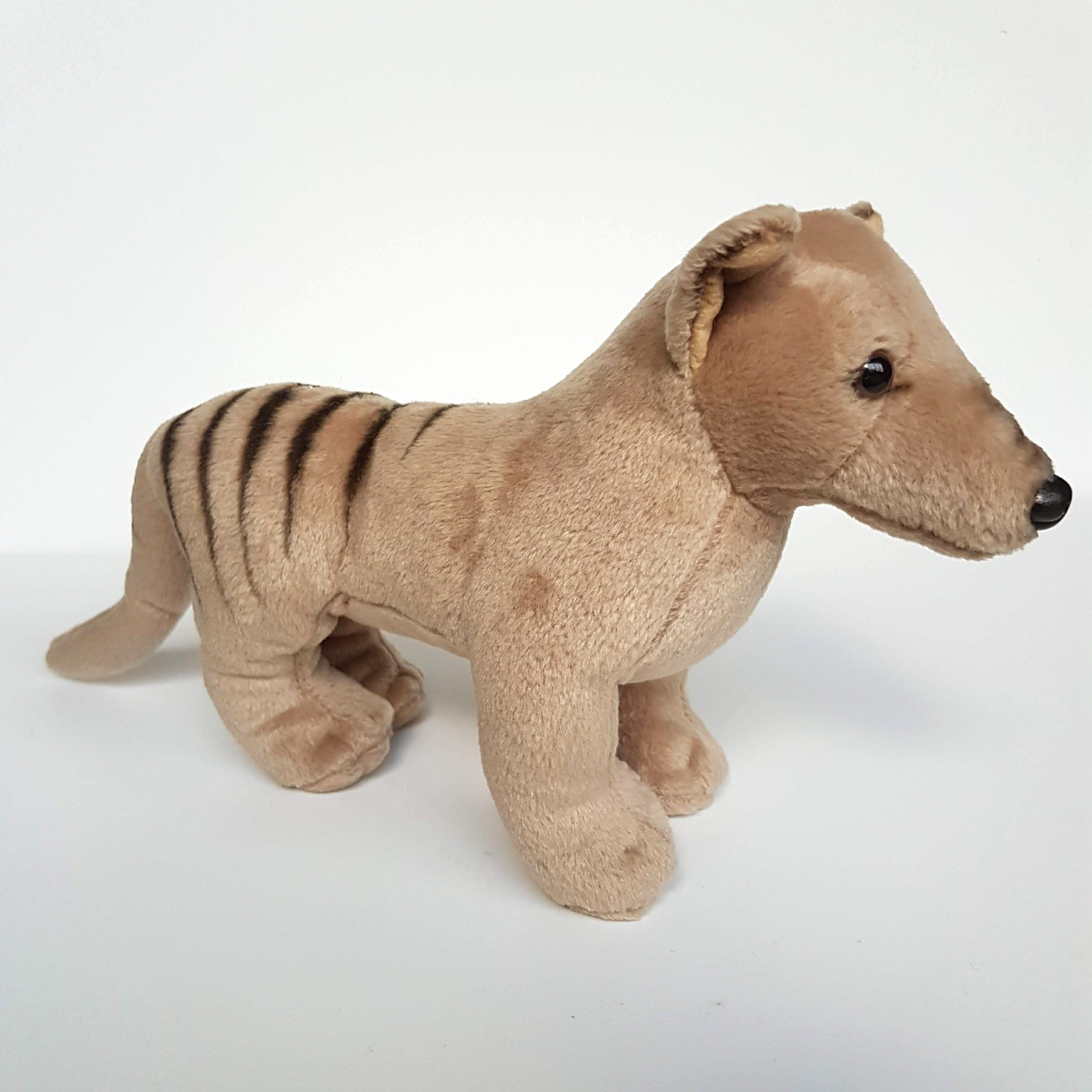 Korimco TASMANIAN TIGER Thylacine Wild Cat Plush Stuffed Animal Small Soft Toy0