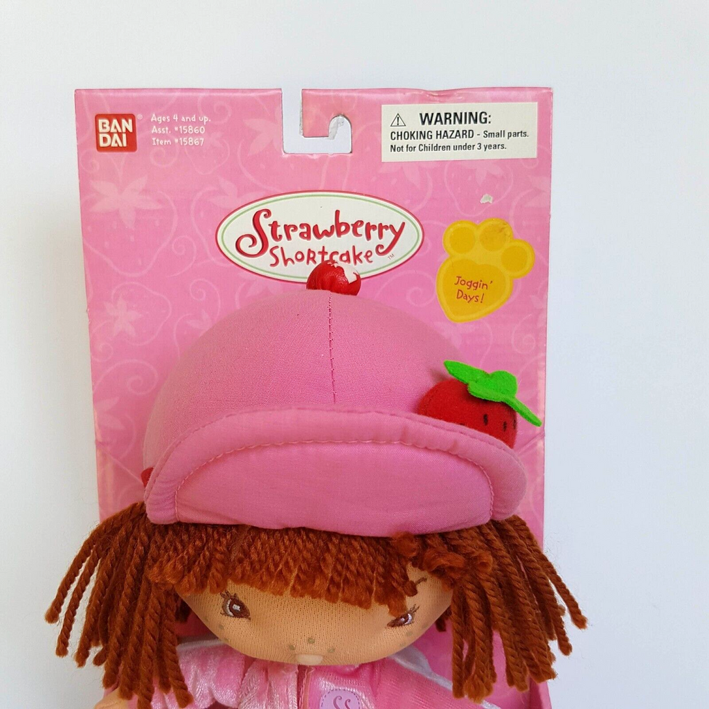 STRAWBERRY SHORTCAKE Berry Soft Friends Joggin' Days Pink Plush Rag Doll BOXED3
