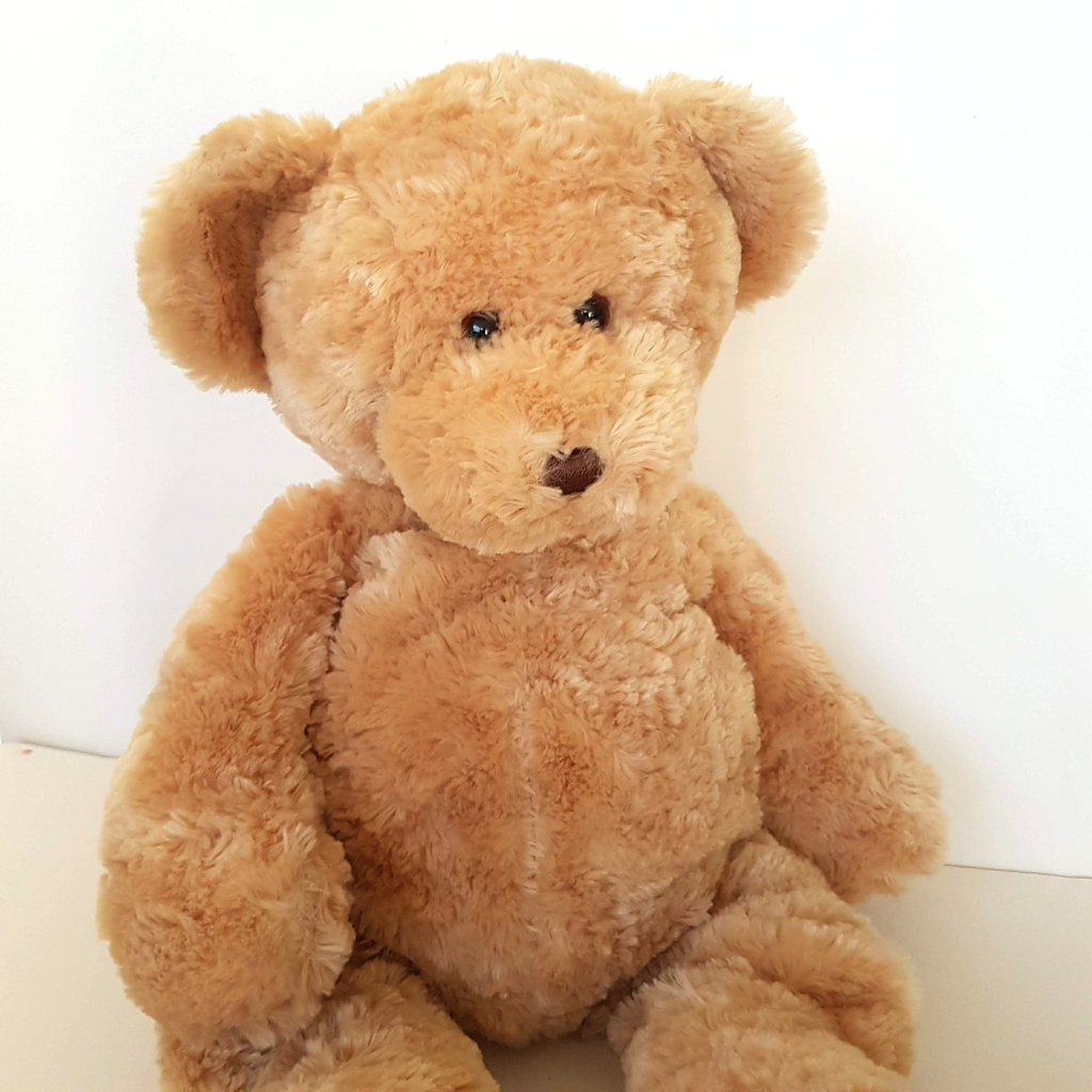 David Jones Large CHARITY BEAR Plush Floppy Teddy 44cm Soft Toy Stuffed Animal5