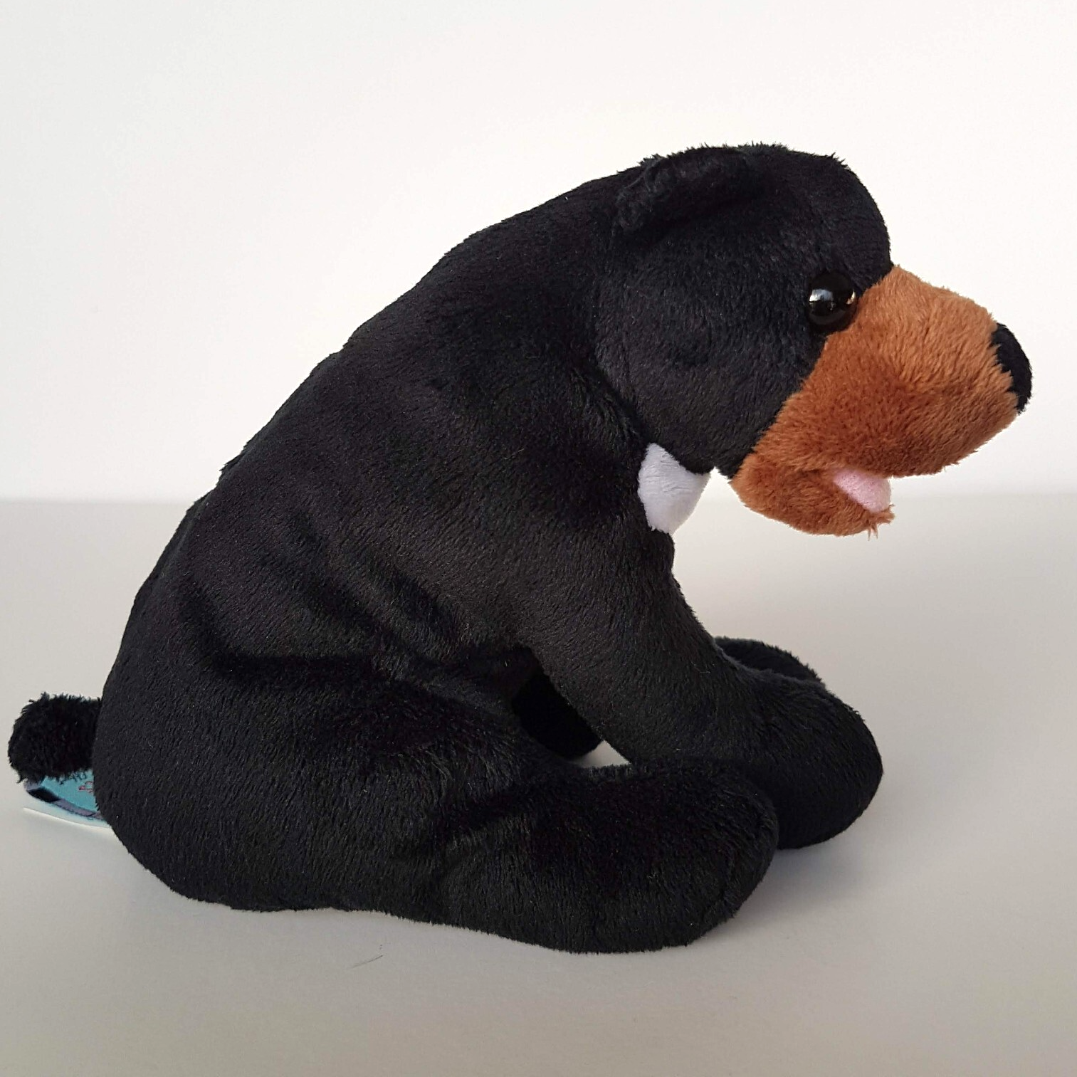 Goodies BLACK SUN BEAR Plush Endangered Soft Toy Beans Stuffed Animal Cuddly6