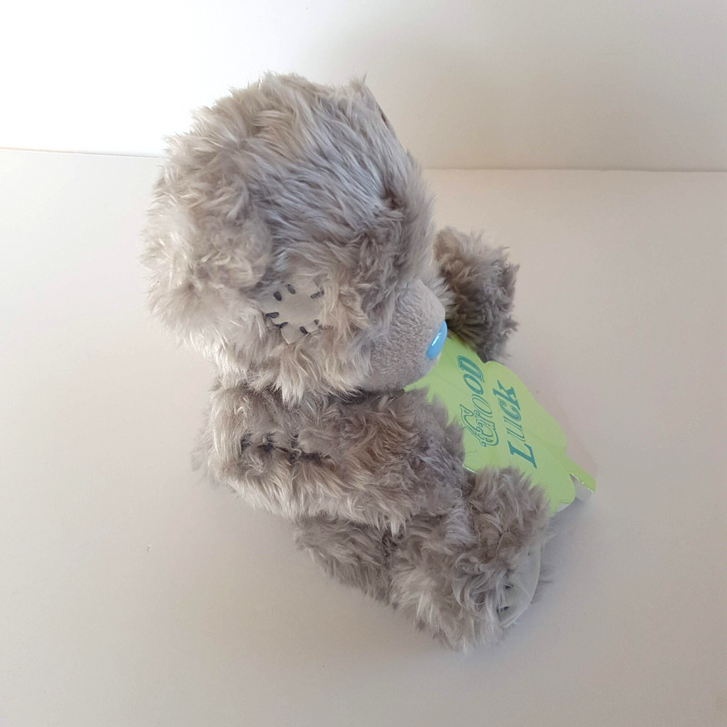 Tatty Teddy GOOD LUCK BEAR 4 Leaf Clover 14cm ME TO YOU Plush Stuffed Animal Toy7