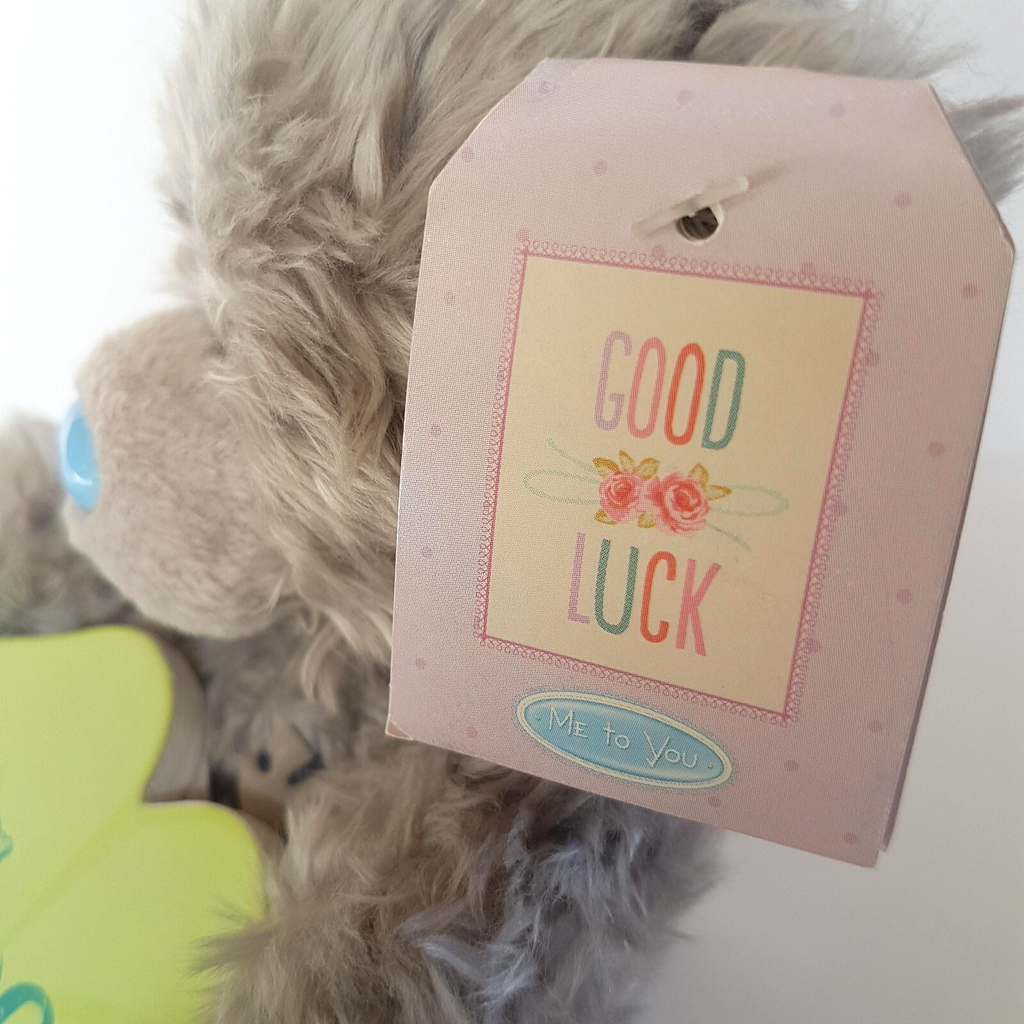 Tatty Teddy GOOD LUCK BEAR 4 Leaf Clover 14cm ME TO YOU Plush Stuffed Animal Toy3