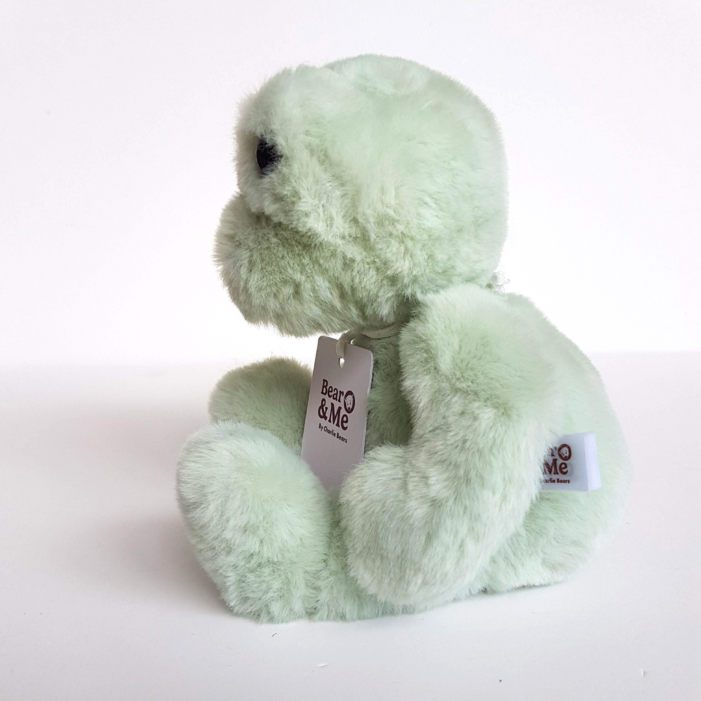 Charlie Bears FREDDY FROG 25cm Soft Plush Stuffed Animal TAGS M Peppermint Green3