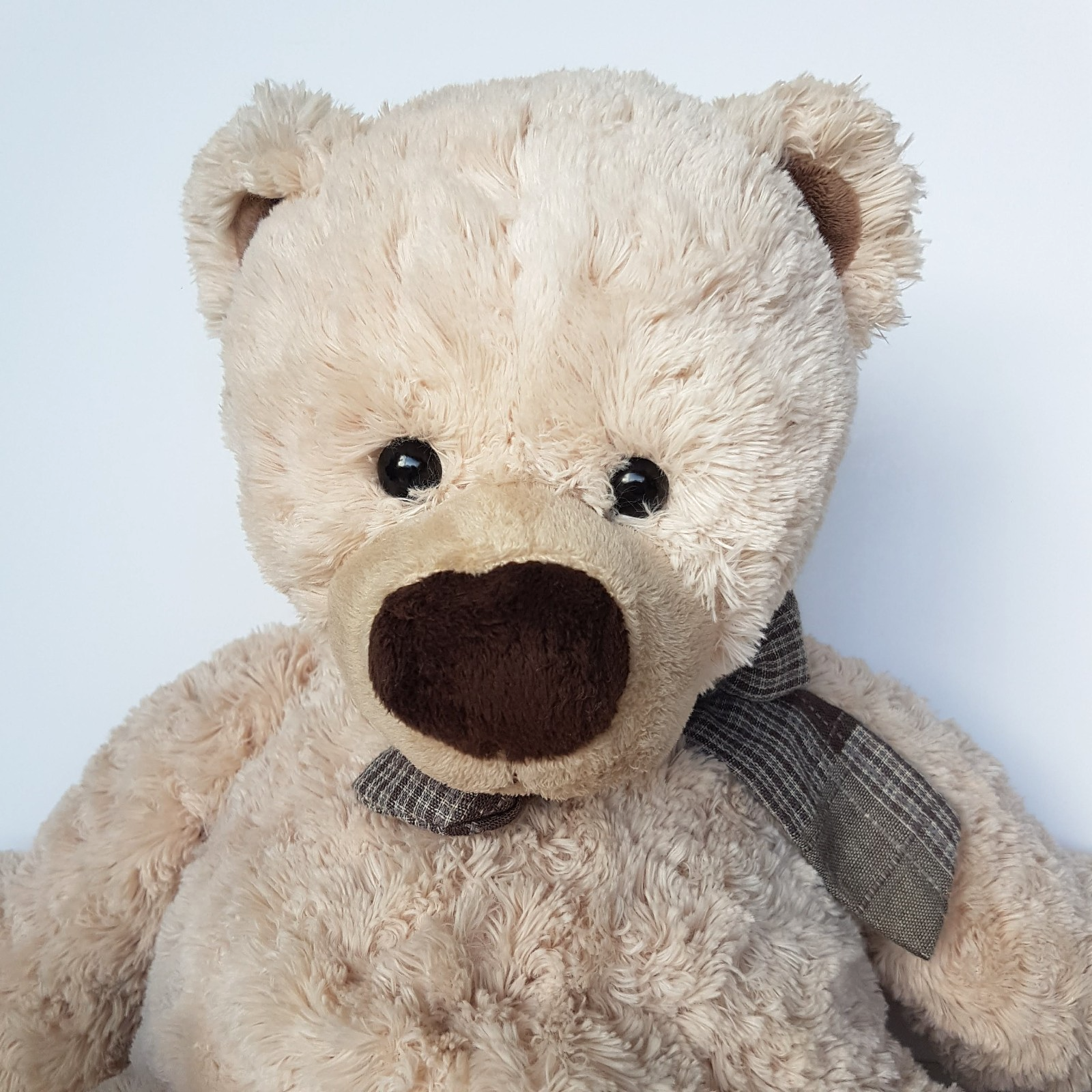 Teddy & Friends TEDDY BEAR Soft Toy 38cm Stuffed Animal Floppy Cuddly Cute Beige1