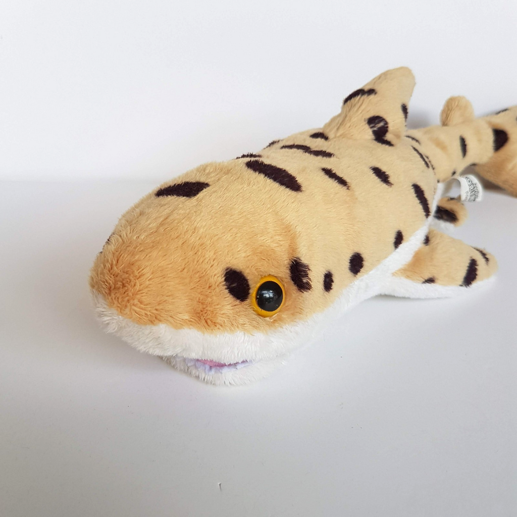 Korimco LEOPARD SHARK Plush 40cm Ocean Sea Fish Soft Toy Stuffed Animal Spotted1