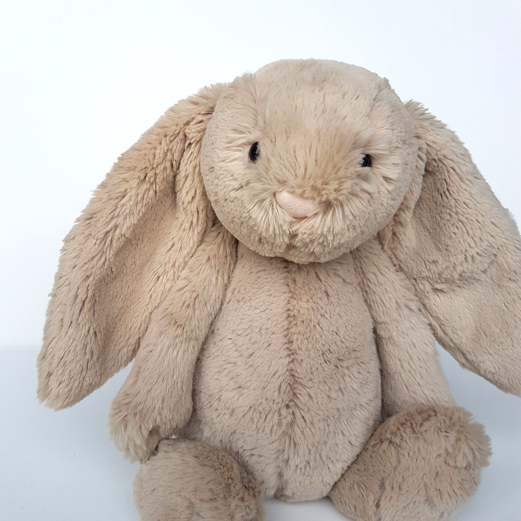 Jellycat BEIGE BASHFUL BUNNY Medium 12" Rabbit Plush Stuffed Animal Soft Toy2