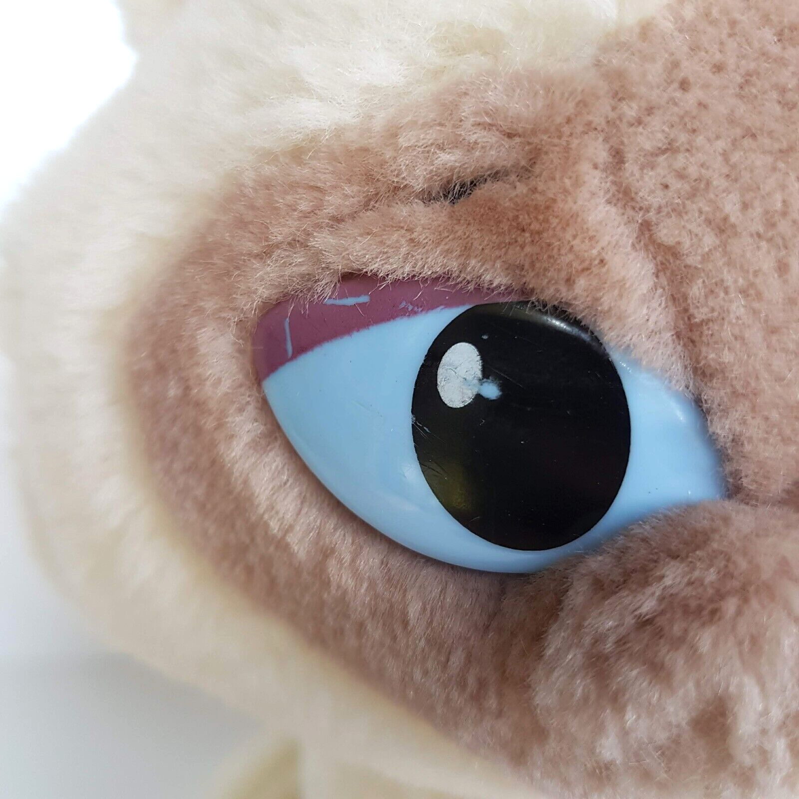 Rare SAGWA THE CHINESE SIAMESE CAT Plush Vintage Stuffed Animal Soft Toy HTF3
