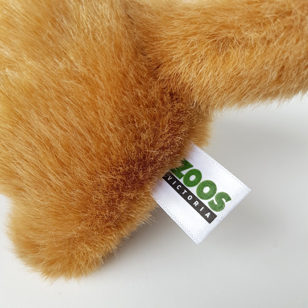 Zoos Victoria MEERKAT Plush Small Stuffed Animal 21cm Safari Cute Zoo Soft Toy5