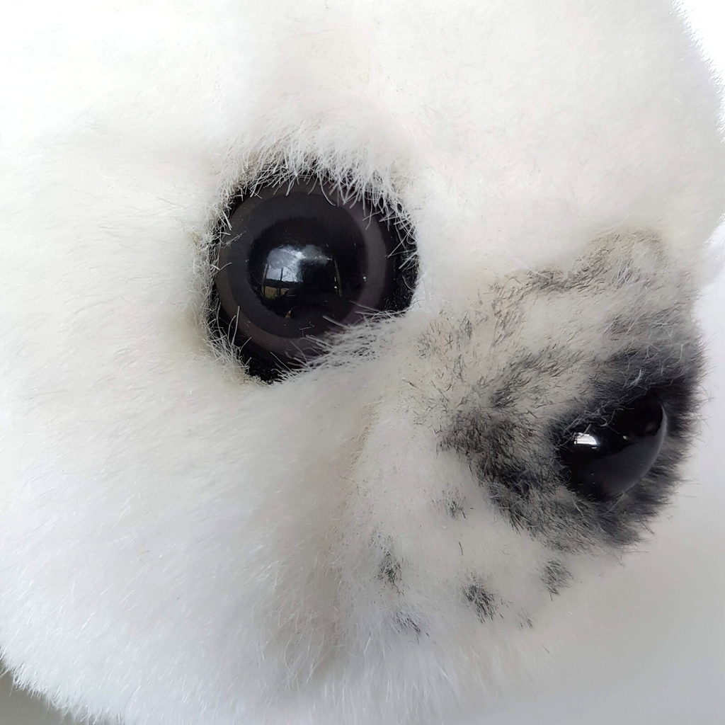 Sea World HARP SEAL PUP 33cm Plush Themepark Soft Toy Snow Cute Stuffed Animal8