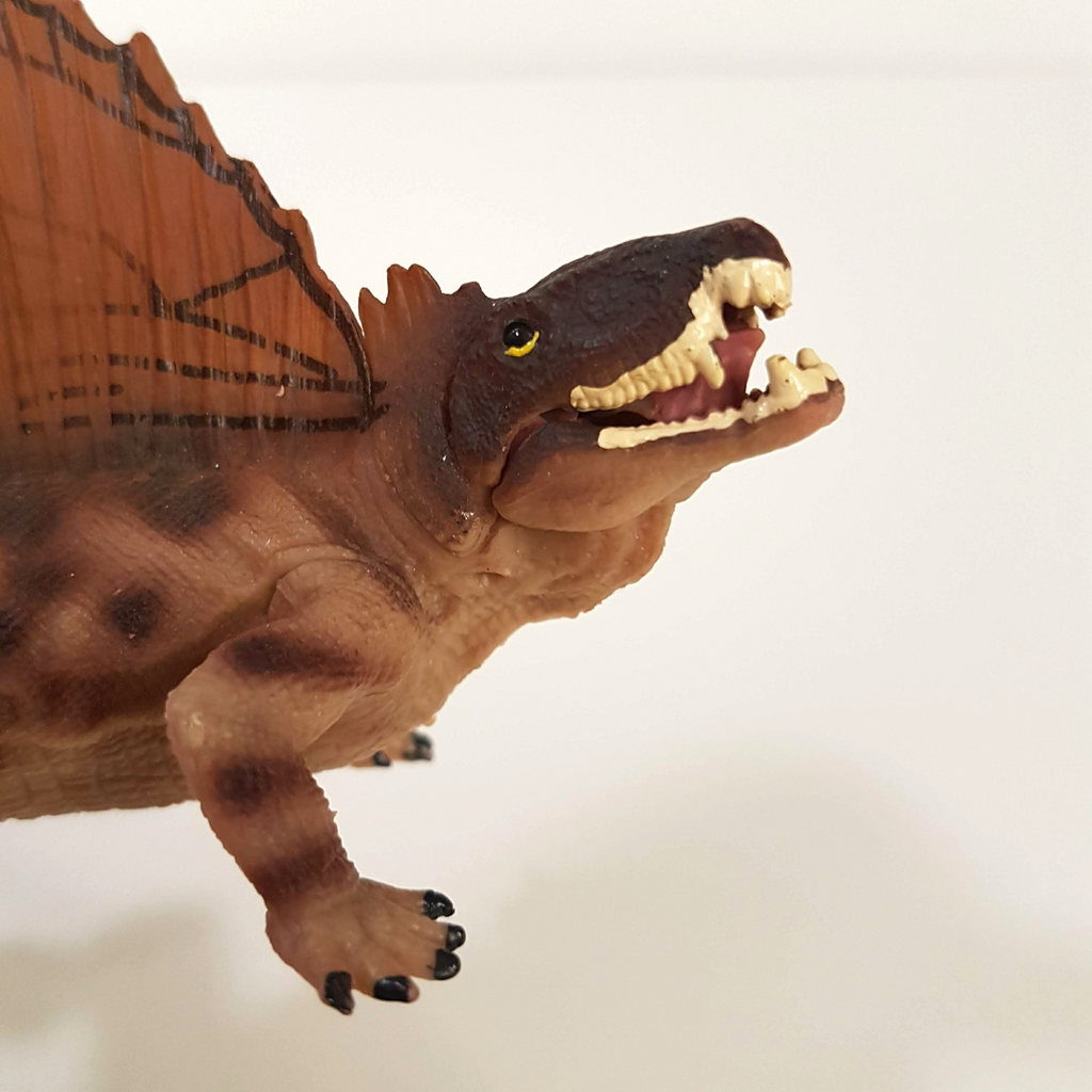 Generic Brand VINYL DINOSAUR LOT Triceratops Stegosuarus Action Figure Toy12