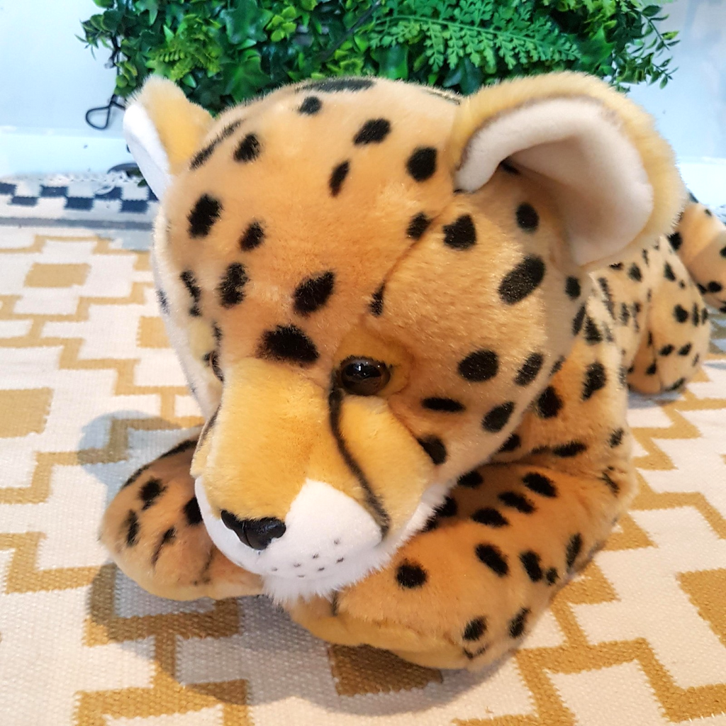 Large 63cm Long Korimco CHEETAH WILD CAT Plush Stuffed Animal Soft Toy Cuddly1