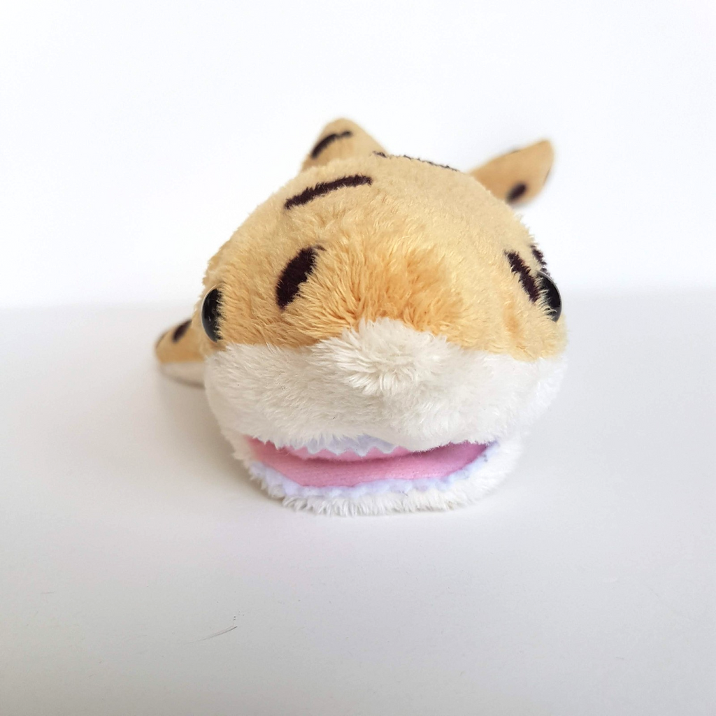 Korimco LEOPARD SHARK Plush 40cm Ocean Sea Fish Soft Toy Stuffed Animal Spotted3