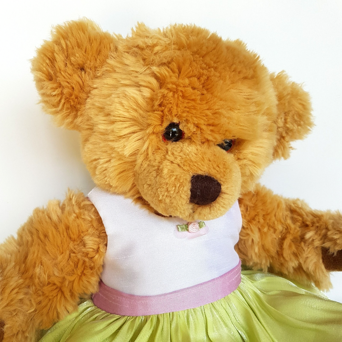 Rare Pumpkin Patch PATCH TEDDY Bear + Dress 34cm Plush Soft Toy Stuffed Animal1